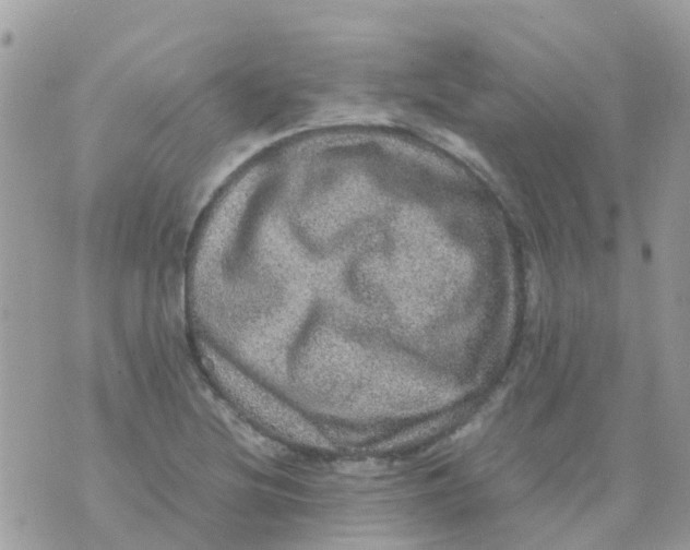 X0000070411220200606302028