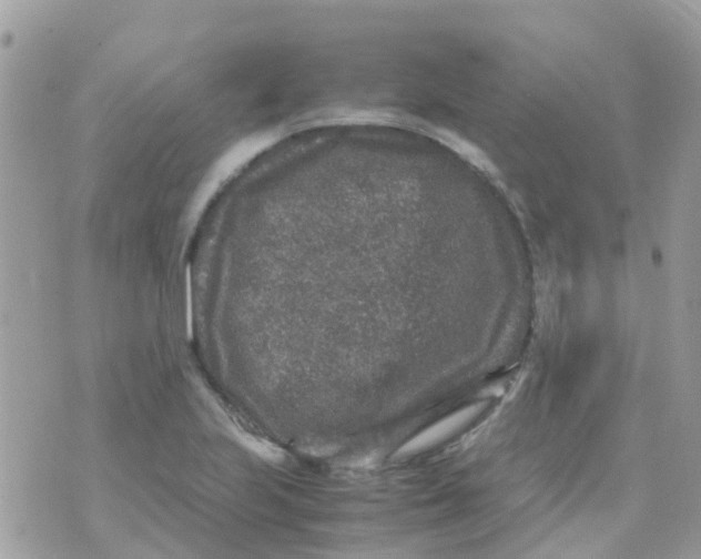 X0000070411223200606302028