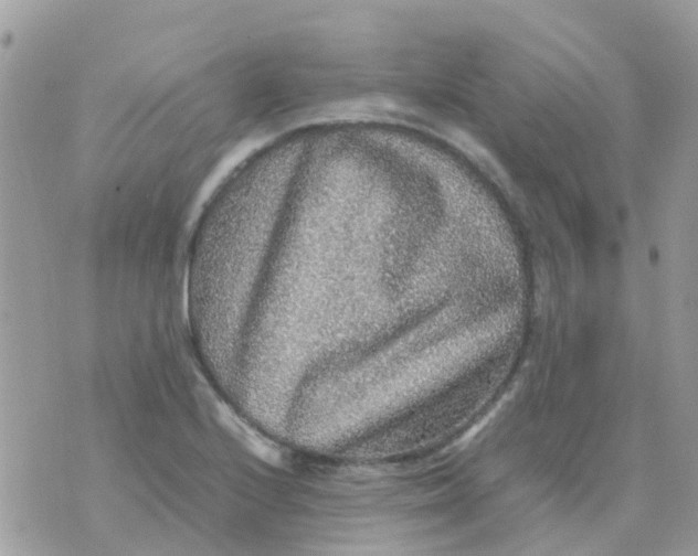 X0000070411224200606302028