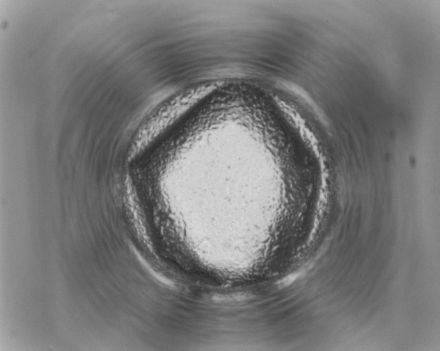 X0000070411225200606302028