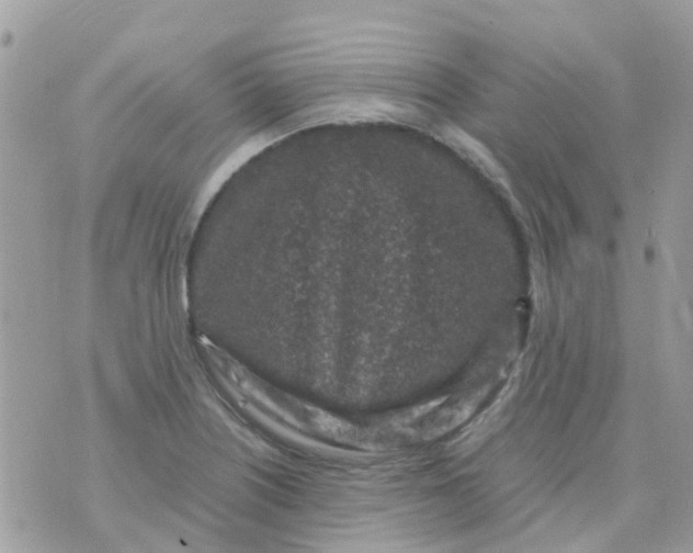 X0000070411226200606302028