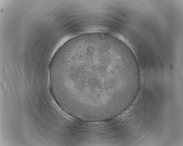 X0000070411227200606302028