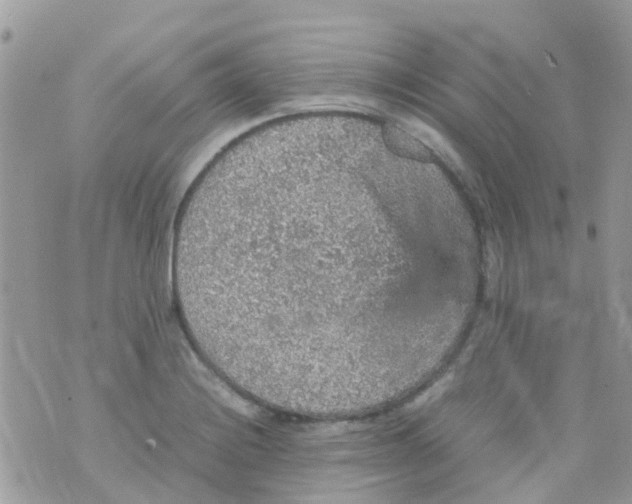 X0000070411228200606302028