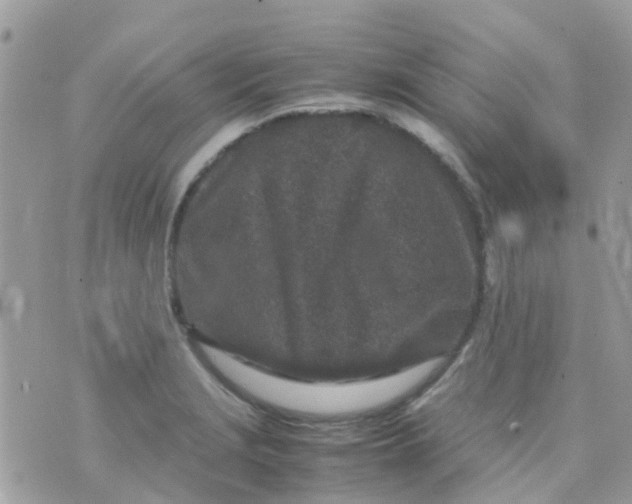 X0000070411229200606302028