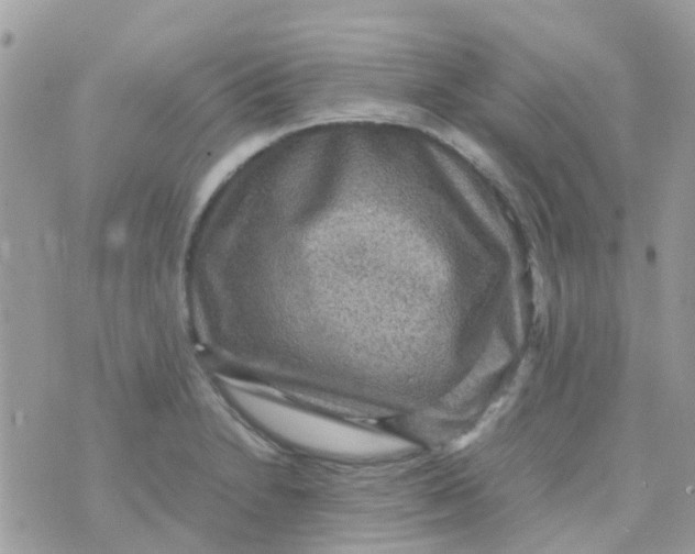 X0000070411230200606302028