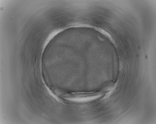 X0000070411231200606302028