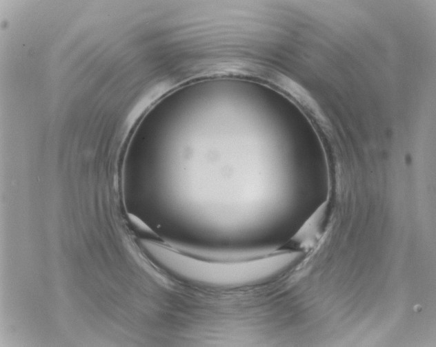 X0000070411234200606302028