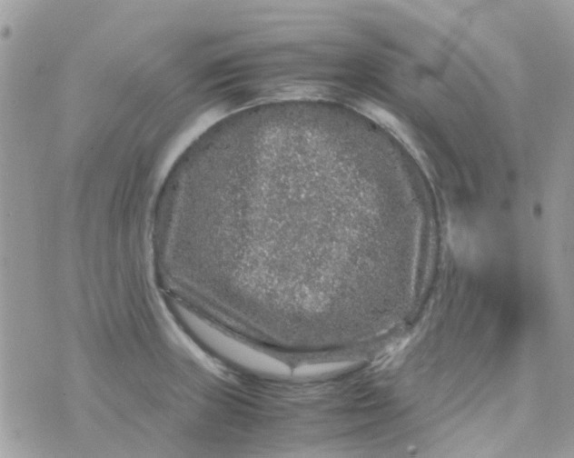 X0000070411235200606302028