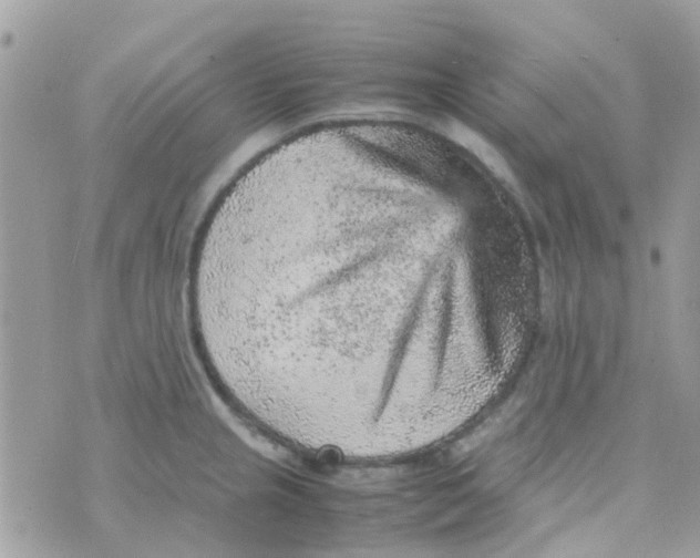 X0000070411237200606302028