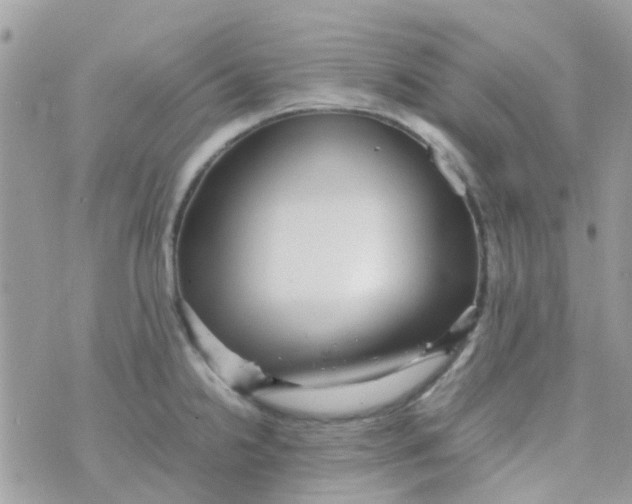 X0000070411238200606302028