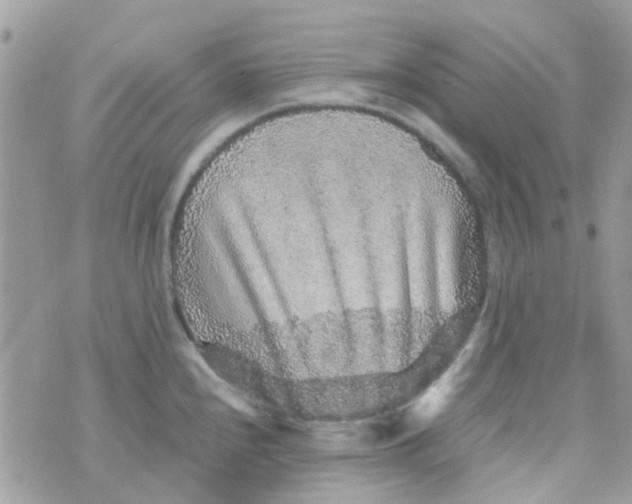 X0000070411240200606302028