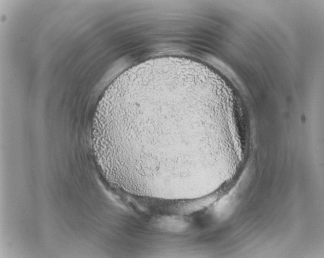 X0000070411241200606302028