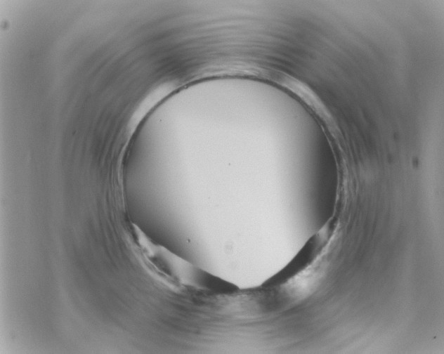 X0000070411242200606302028