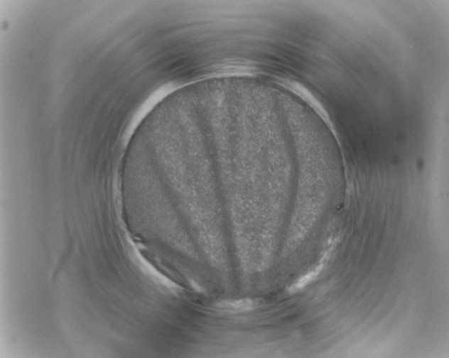 X0000070411243200606302028