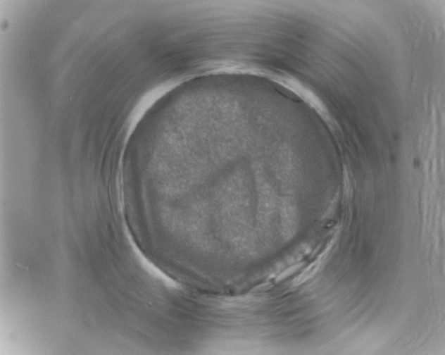 X0000070411247200606302028