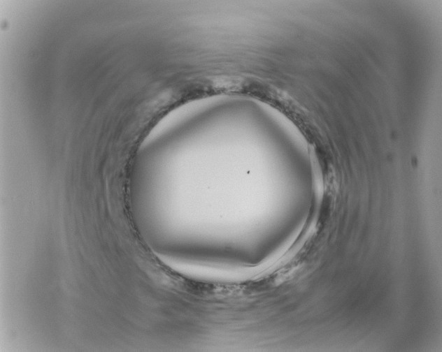 X0000070411249200606302027