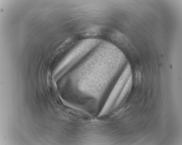 X0000070411250200606302027