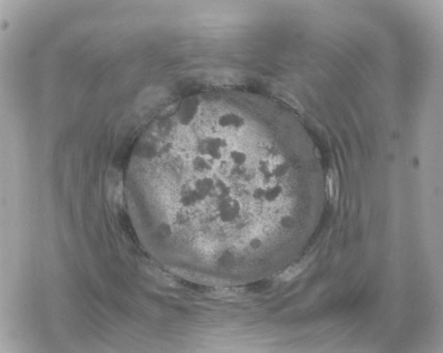 X0000070411251200606302027