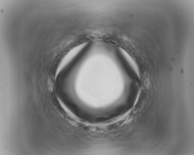 X0000070411253200606302027