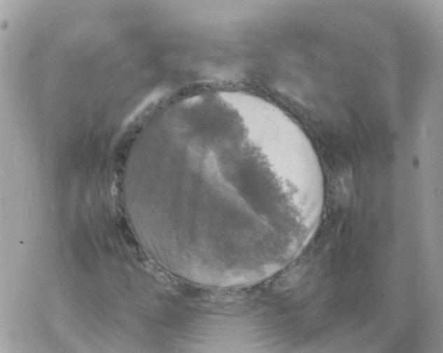 X0000070411254200606302027