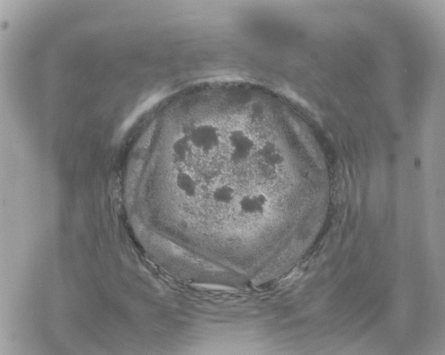 X0000070411255200606302027