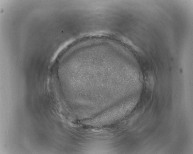 X0000070411256200606302027