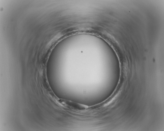 X0000070411257200606302027