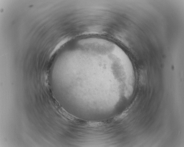 X0000070411258200606302027