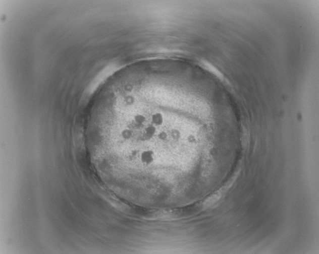 X0000070411259200606302027