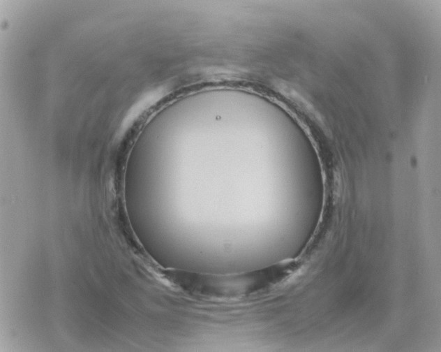 X0000070411261200606302027