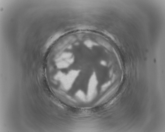 X0000070411263200606302027