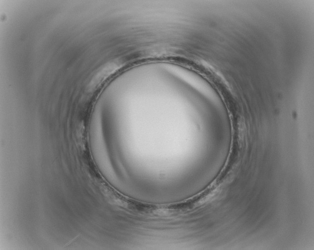 X0000070411265200606302027