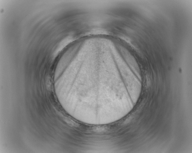 X0000070411266200606302027