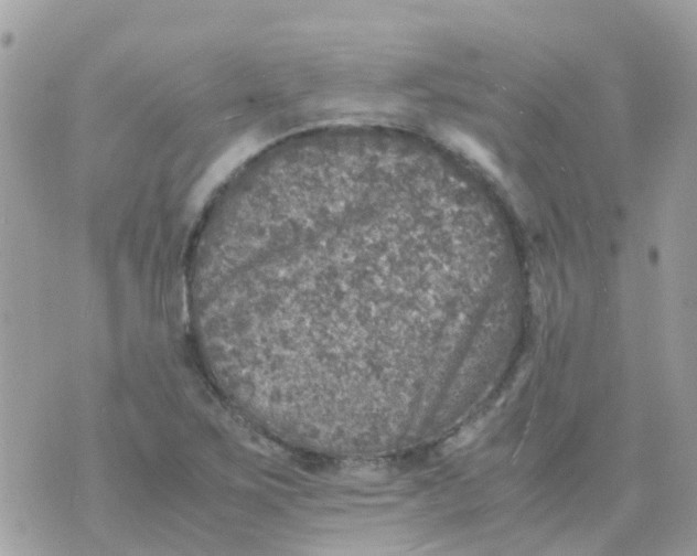 X0000070411267200606302027