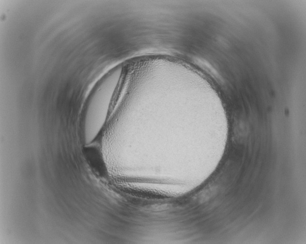 X0000070411268200606302027