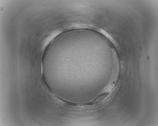 X0000070411269200606302027