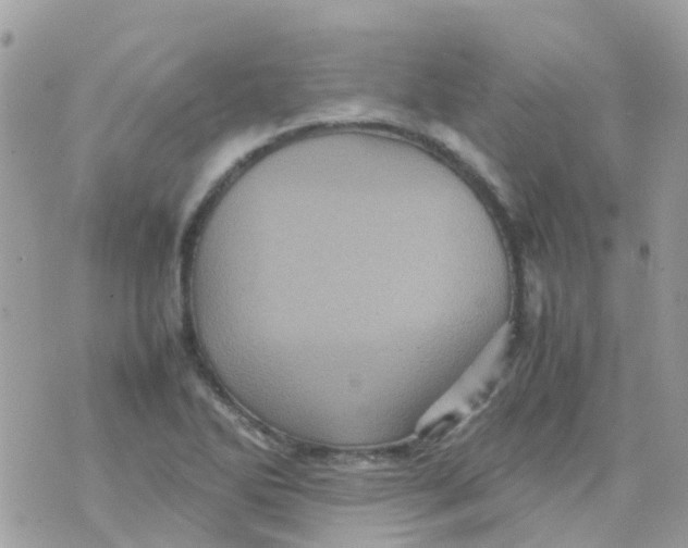 X0000070411270200606302027