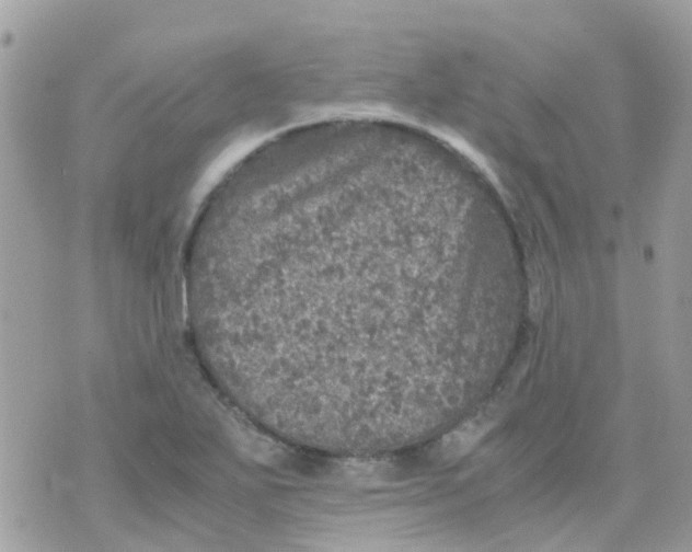 X0000070411271200606302027