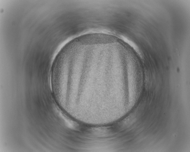 X0000070411272200606302027