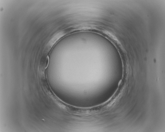 X0000070411273200606302027