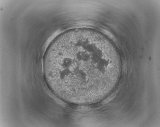 X0000070411275200606302027