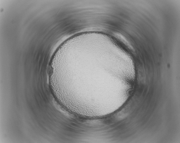 X0000070411276200606302027