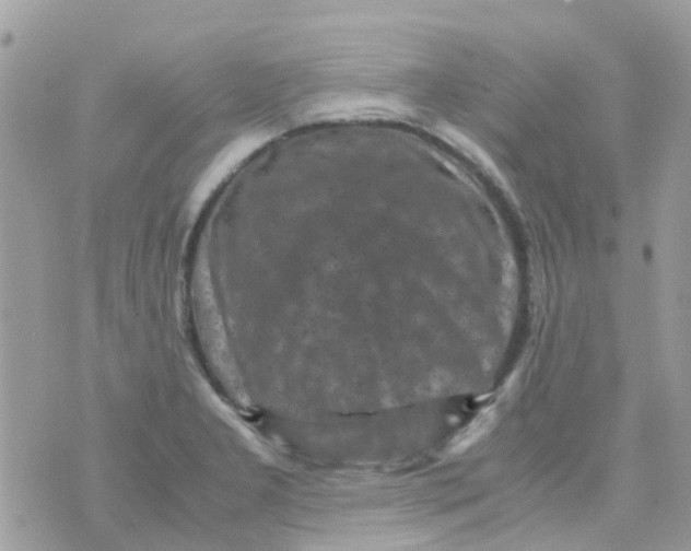 X0000070411277200606302027