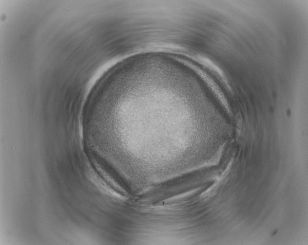 X0000070411280200606302027