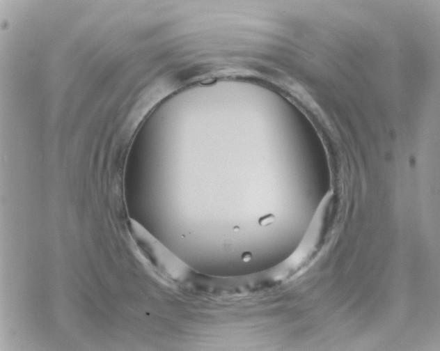 X0000070411281200606302027