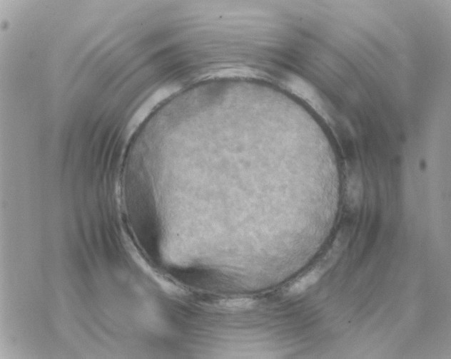 X0000070411282200606302027