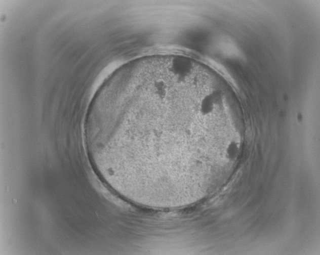 X0000070411283200606302027