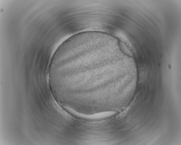 X0000070411284200606302027