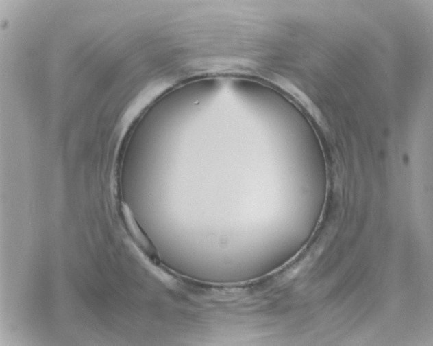 X0000070411285200606302027