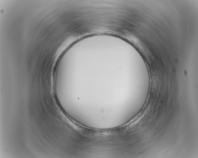 X0000070411286200606302027